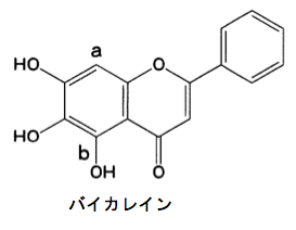 解説画像